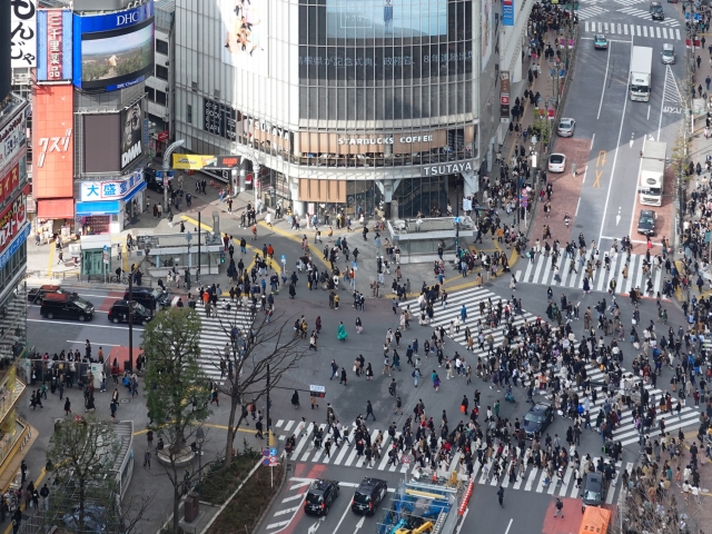 chiiki-shibuya-uranai